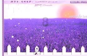 分手了前任一直处于消失状态,分手半个月后前任发了一条朋友圈:这个世界上没有谁离不开谁?-分享有趣、实用、热门的话题